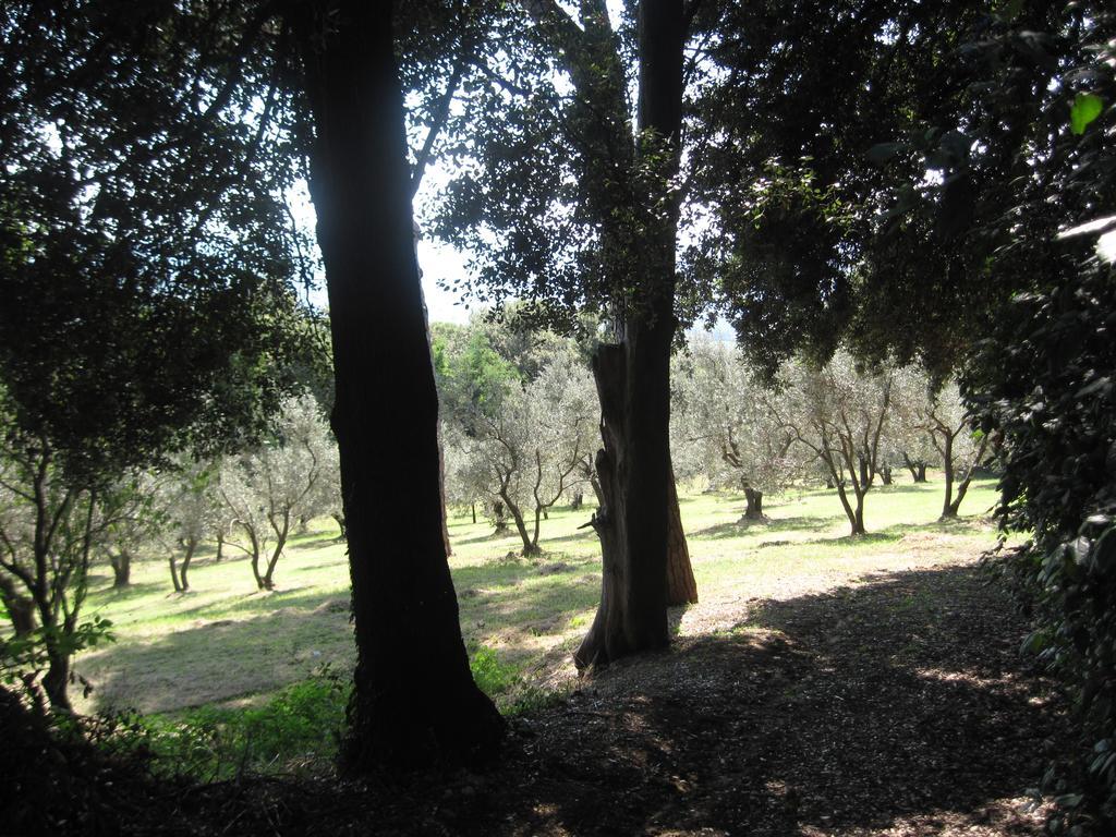 Tenuta Olmatello Quartolo Zewnętrze zdjęcie