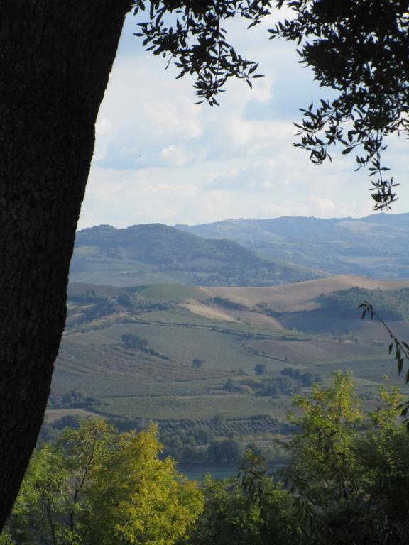 Tenuta Olmatello Quartolo Zewnętrze zdjęcie